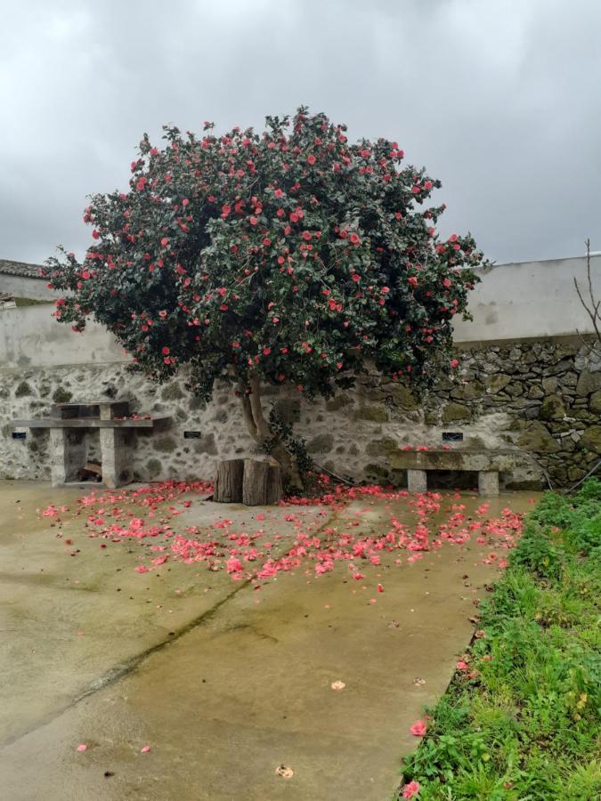 Basaltic Guest House Achadinha Exterior foto